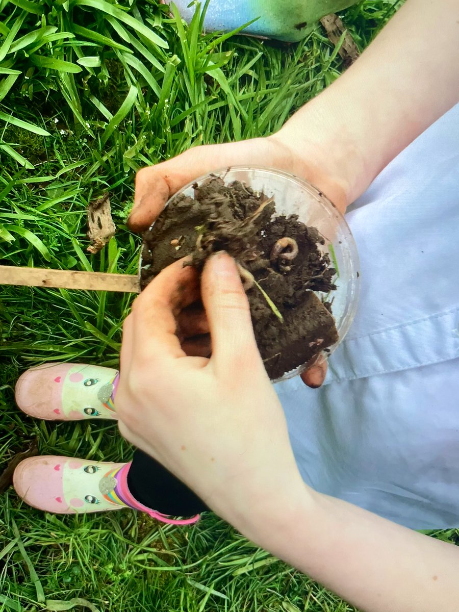QueensCofE's tweet photo. #OutdoorExplorers had the best time in #AfterSchoolClub tonight! We made homes for our #insect and #bug friends with the most incredible #OOOMPH 💪and🫶🏼@OutdoorEdChat @teach_outdoors @DMAT_CEO @Cov_DBE @CofE_Cov @vb_vb7 @miss_b_wright @MrDChadwick_DHT @HYWEL_ROBERTS @AmyBills_Edu https://t.co/E6Z5BN6OIB