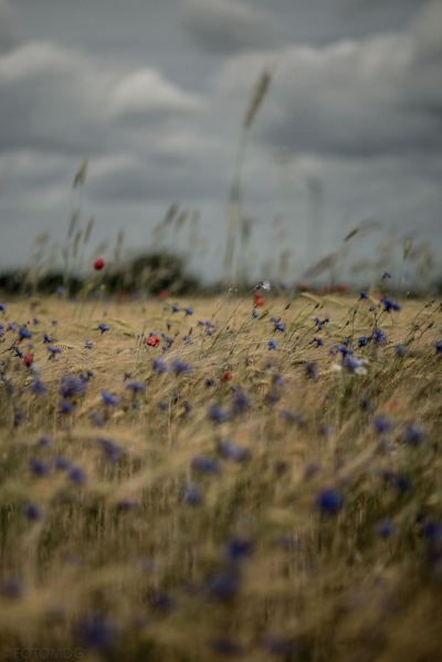 Доброго вечора, дівчата і хлопці!🫂💛
Только смог разобраться с делами и нашёл время, чтобы поговорить с вами и рассказать вам историй чудесных, да необычных! Только пока хочу поговорить с вами о жизни вашей!
Как дни ваши проходят? Получается ли преодолевать трудности и невзгоды?