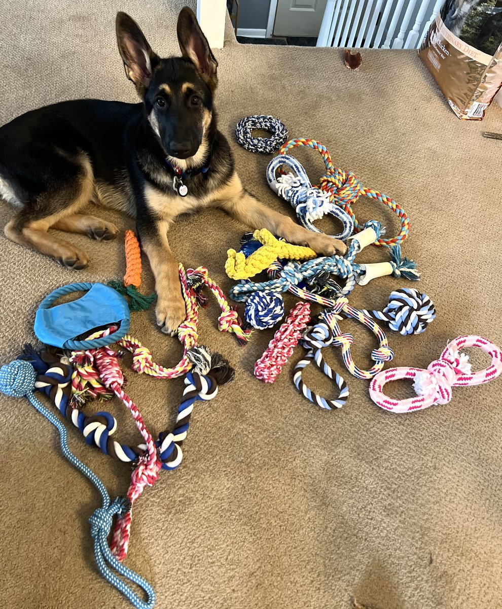 Veronica Rodriguez tweet media