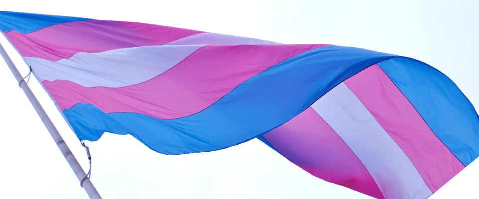 WomenGNB's tweet photo. Today is #TDOV2023! Thank you to transgender, Two Spirit, nonbinary, and gender diverse New Brunswickers for their rich and diverse contributions to society. We value you. We support you every day of the year. #TDOV2023 https://t.co/WkjBGZxejx