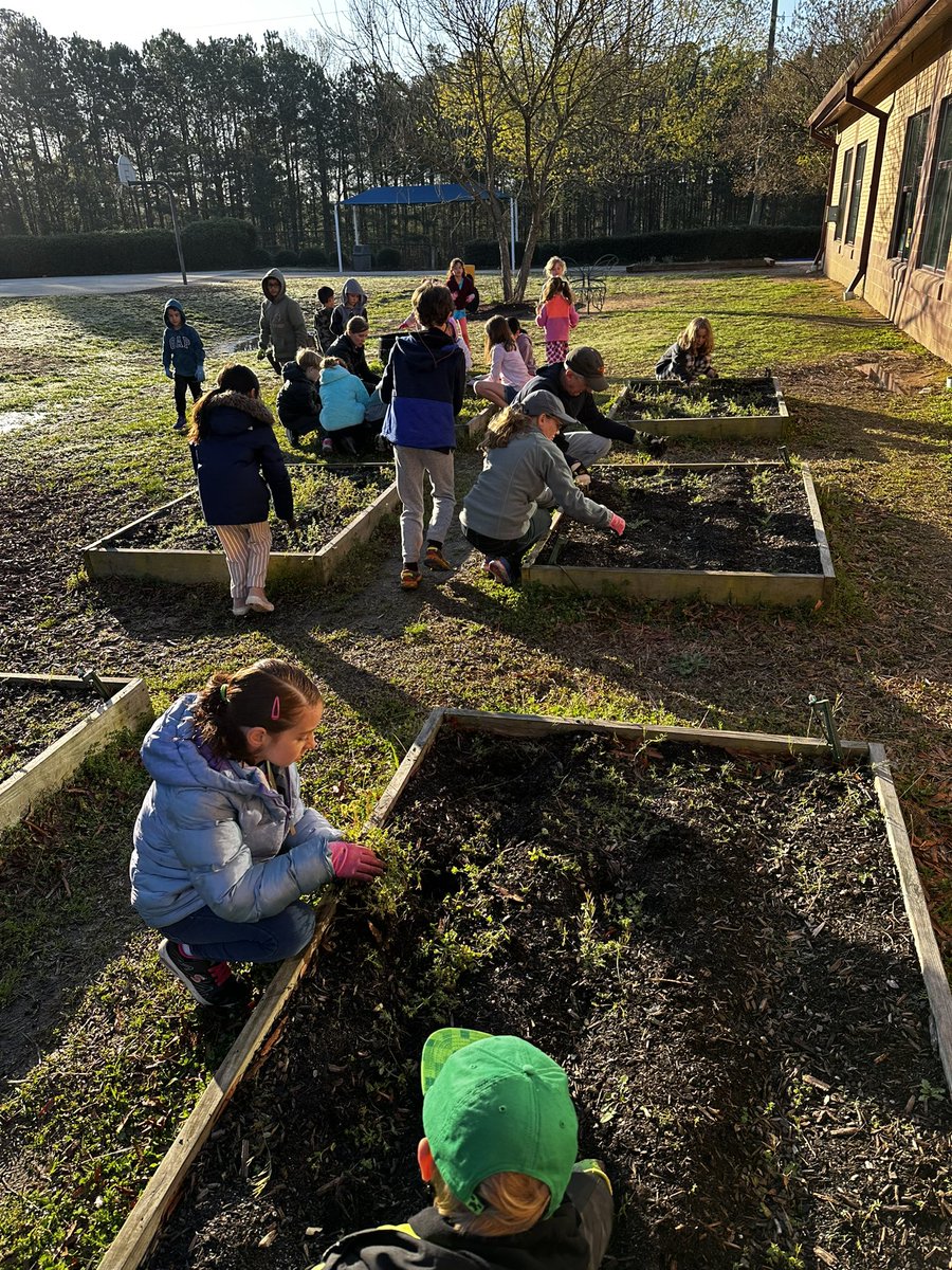 msferreira6's tweet photo. @OliveChapelElem our Garden Club is doing some spring cleaning to prepare for the new crops🌻🌱 @ErinKelleyMay @AshleyPCharles @jmboyer @STEM_WCPSS #BACKYARDLEARNING #LoveMyJob https://t.co/VqC8GKUOq2