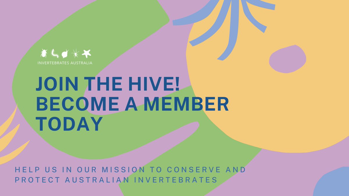 invertsau's tweet photo. Did you know you can now become an official member of Invertebrates Australia?🐞🕷️🐙🐌🌟 Learn more and sign up today at https://t.co/AuOGdt9GF8 Thanks to @eggpicnic for supporting our membership! https://t.co/ARwoHSFJEp