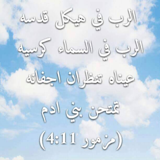 maha_halaby's tweet photo. @ALJADEEDNEWS https://t.co/1USPh1Q4oc