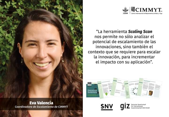 ACCIMMYT's tweet photo. Con #ScalingScan, una herramienta de alto impacto, puedes conocer el contexto que se requiere para escalar diferentes tipos de proyectos.✅

Conócelo👉🏽https://t.co/Jyx1qxQa2k

@LennartWol@evalencia93 @CIMMYT@SNVworld @mxboa @ScalingScan@pauleckly @Scalingscience https://t.co/8pKPedLI7p