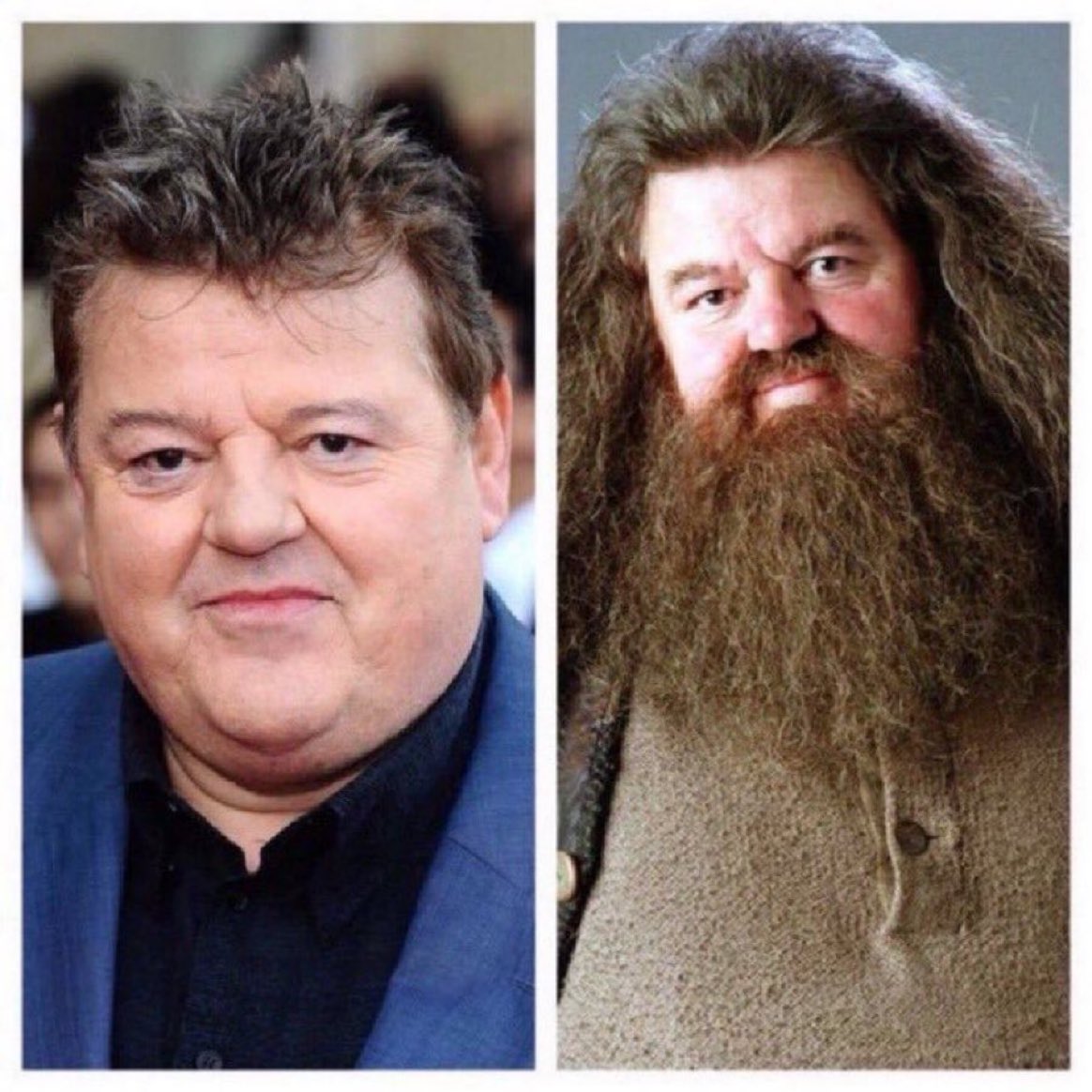 HPotterUniverse's tweet photo. March 30: Happy Birthday to the late Robbie Coltrane, who played our beloved Hagrid in the Harry Potter films. 

This is his first birthday since he sadly passed away a few months ago. He was universally loved by all and we will continue to remember him. ❤️ https://t.co/IXTcWFjnj7