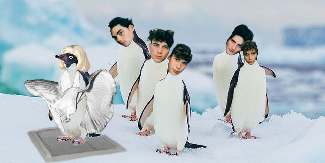 anna_aggy's tweet photo. #GNTM Marilyn Monroe und die Penguin Boys https://t.co/ANwqf0DrcY