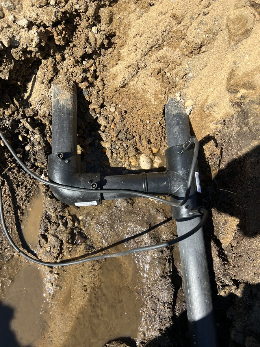 Michael Sheehan tweet media