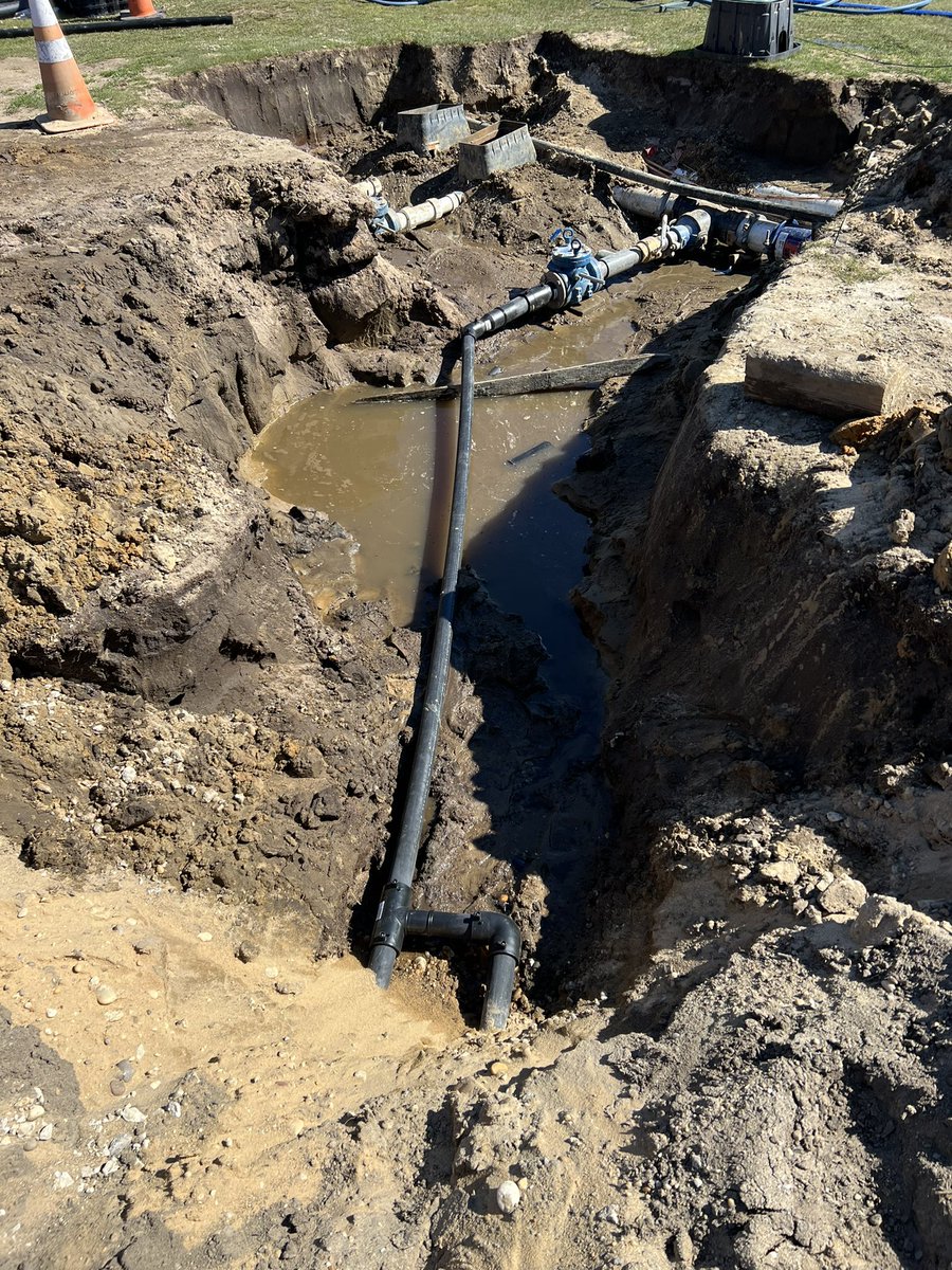 Michael Sheehan tweet media