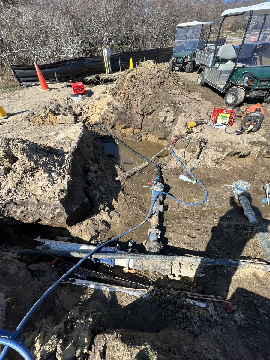 Michael Sheehan tweet media