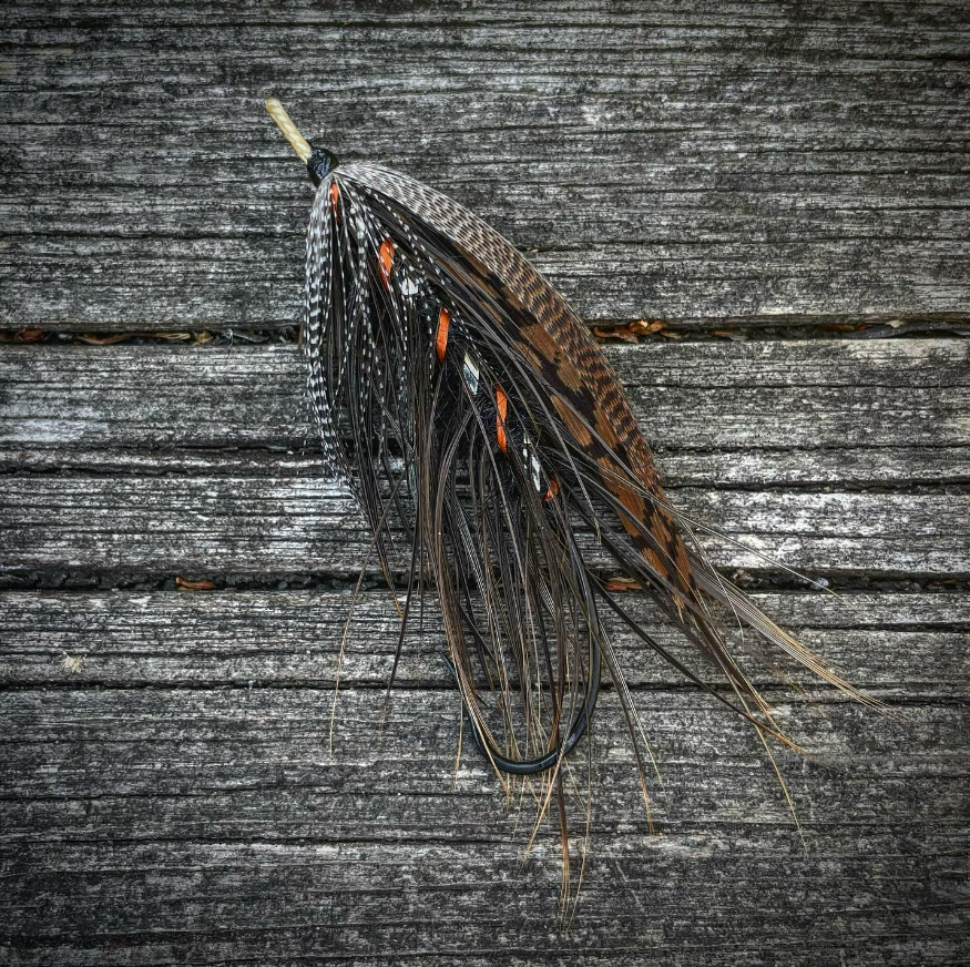 Saltwateronfly's tweet photo. Great Colors and a sweet silhouette
@gnrl_prctnr    Spey Dog, orange silk rib variation noted in Francis. Tried to keep it full and wild in the original spirit of the pattern…
;
#flytyingphotography #steelheadflies #salmonflies #swingflies #laksefiske #spey #wintersteelhead https://t.co/QhXXLJtNii