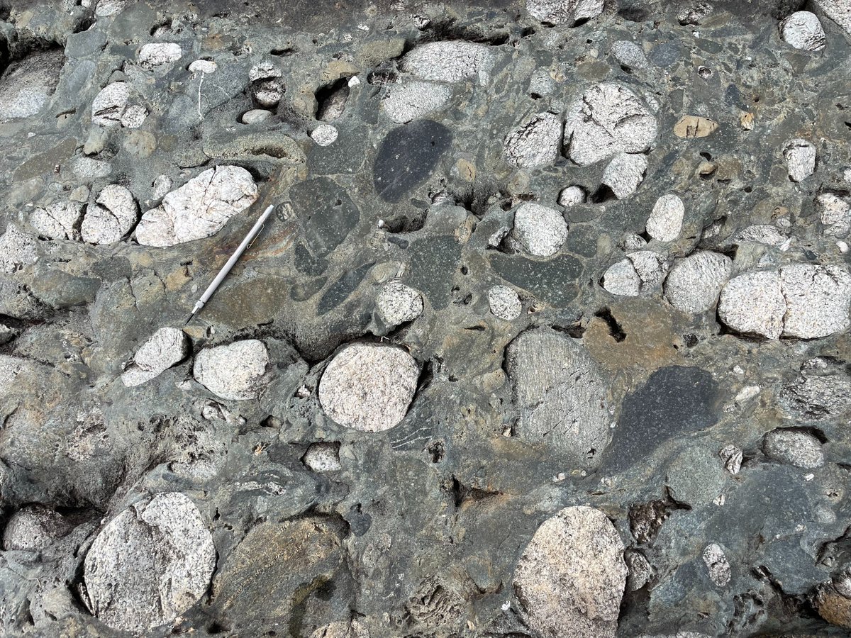 This is a 2.6 billion yr old #conglomerate‒a sedimentary rock. Learn about it with campGEO‒the #podcast styled #geology course.

🌎30+ hours of audio
🌎Original images &amp; gifs
🌎Chapters on all the basics

Free on mobile. Sign up &amp; start learning.
cmpgeo.com/3JVckxz