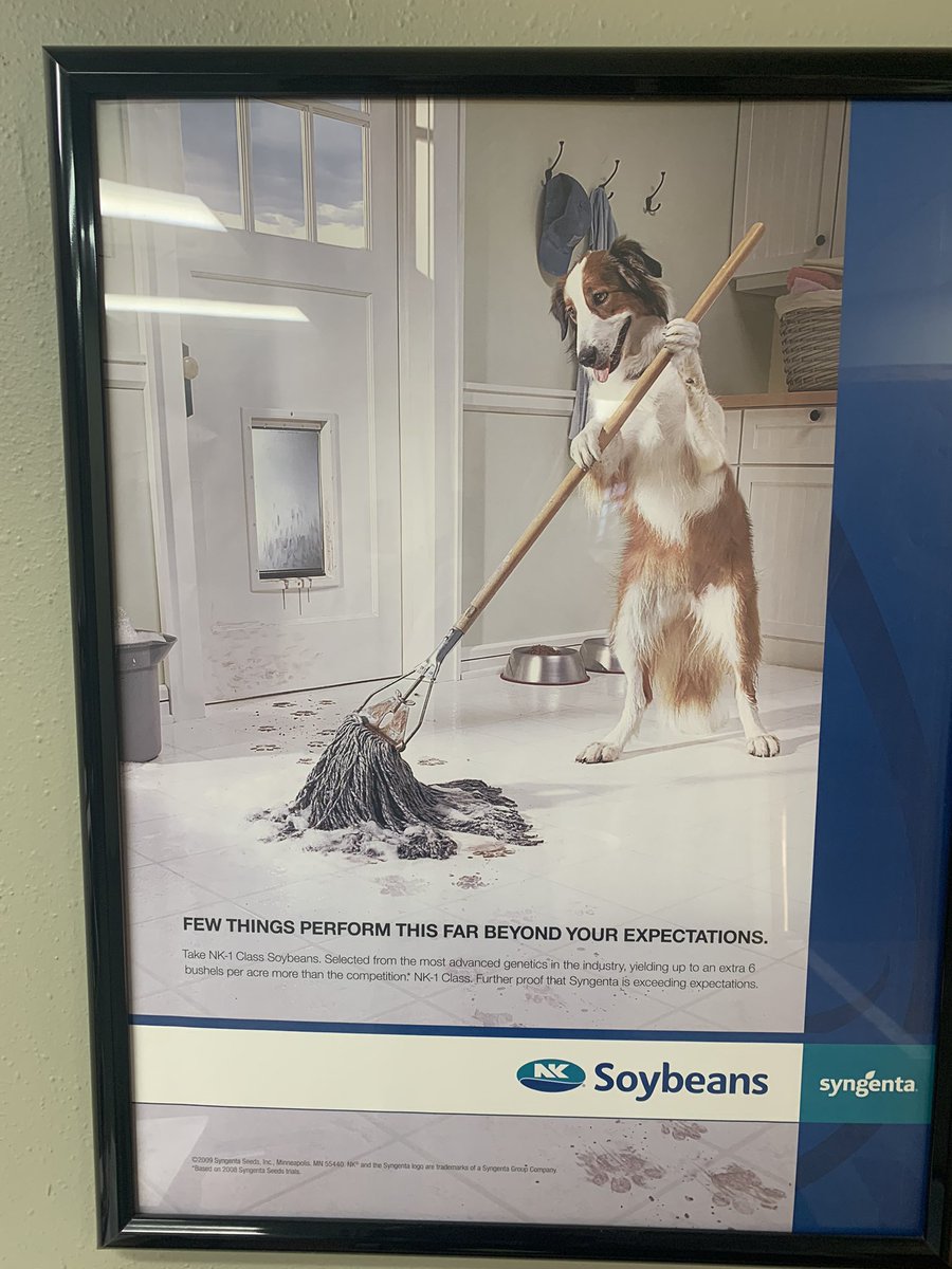 Zach King tweet media