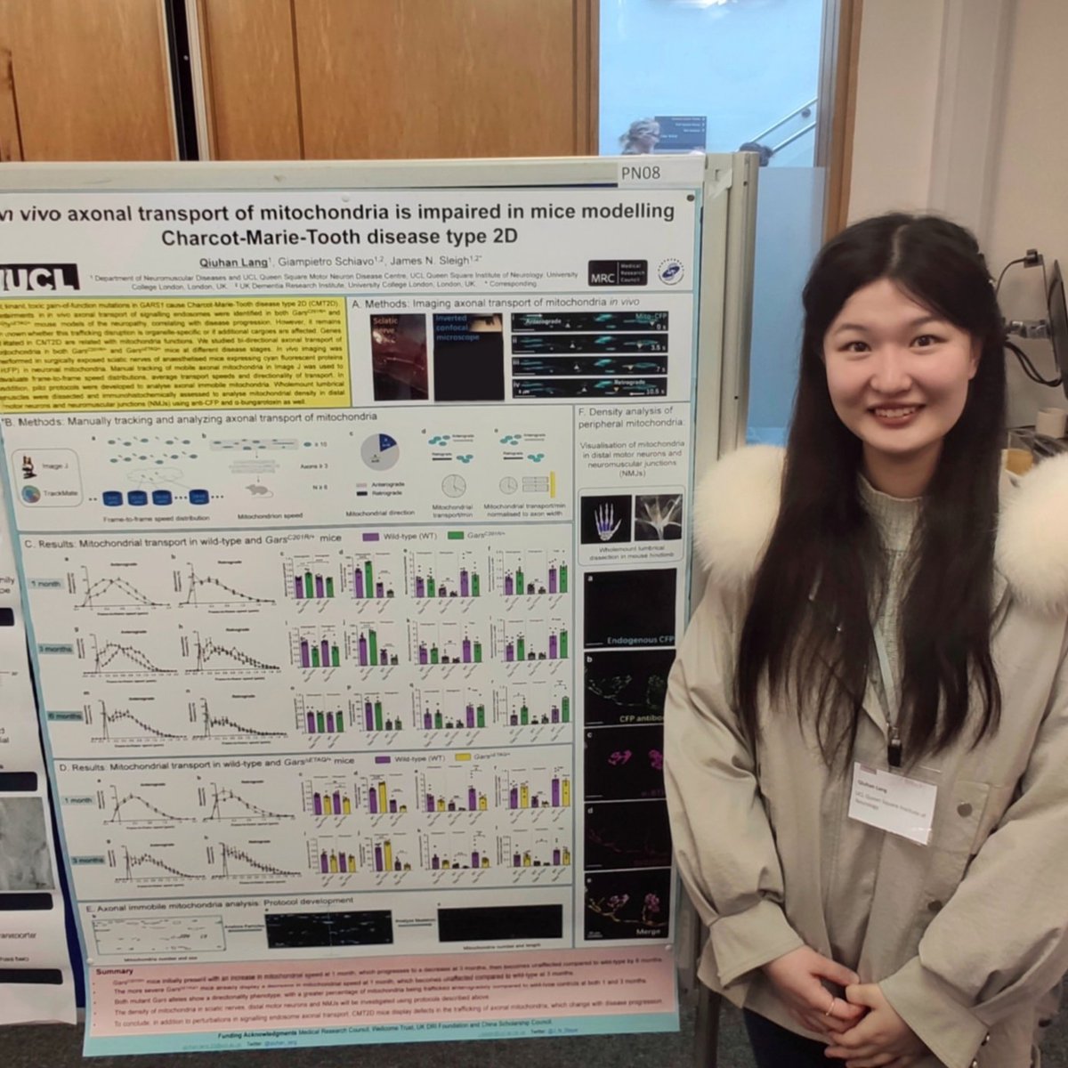 Qiuhan Lang (@qiuhan_lang) on Twitter photo Inspiring two days learning updates on gene therapies, neuropathy, myopathy, mitochondria & clinical cases at the 16th UK Neuromuscular Translational Research Conference <a href="/UCL_QS_CNMD/">UCL_QS_CNMD</a>!
A pleasure to have a poster on in vivo axonal transport of mitochondria in WT and CMT2D too! Inspiring two days learning updates on gene therapies, neuropathy, myopathy, mitochondria & clinical cases at the 16th UK Neuromuscular Translational Research Conference <a href="/UCL_QS_CNMD/">UCL_QS_CNMD</a>!
A pleasure to have a poster on in vivo axonal transport of mitochondria in WT and CMT2D too!