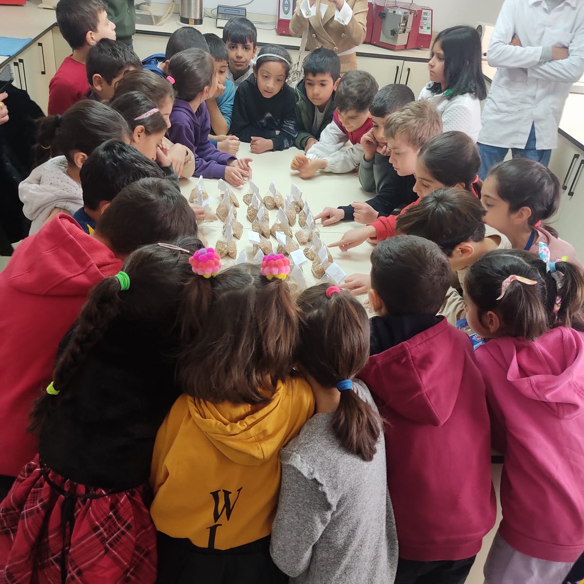 Testa un fabrikasi gezimiz.