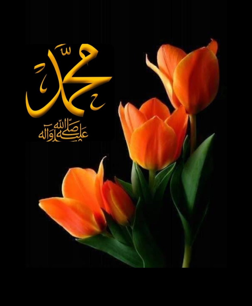 ¤

¤ اللهم صّل وسَلّمْ عَلۓِ نَبِيْنَا مُحَمد ﷺ
¤ اللهم صّل وسَلّم عَلۓِ نَبِيْنَا مُحَمد ﷺ
¤ اللهم صّل وسَلّم عَلۓِ نَبِيْنَا مُحَمد ﷺ
¤ اللهم صّل وسَلّم عَلۓِ نَبِيْنَا مُحَمد ﷺ
¤ اللهم صّل وسَلّم عَلۓِ نَبِيْنَا مُحَمد ﷺ
¤ اللهم صّل وسَلّم عَلۓِ نَبِيْنَا مُحَمد ﷺ

¤