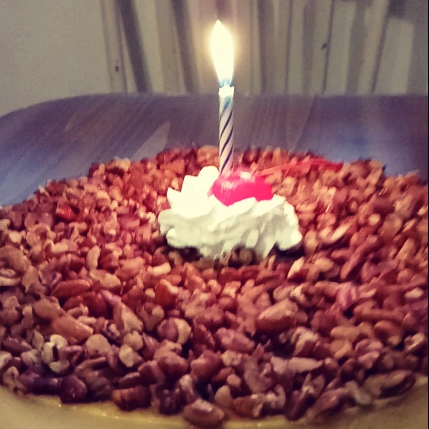elkirbster's tweet photo. Primo Jerry's #Birthday #cake ๐... A delicious #flan topped with #pecans from #ElDulceBakery
#ElDulce
#EaglePass
#EaglePassTX
#EaglePassTexas
#VisitEaglePass
#EPEats
#EaglePassEats
#MaverickCounty
#MaverickCountyTexas
#LocalFirstEP
#LocalFirstEaglePass https://t.co/gTs2rEYon5