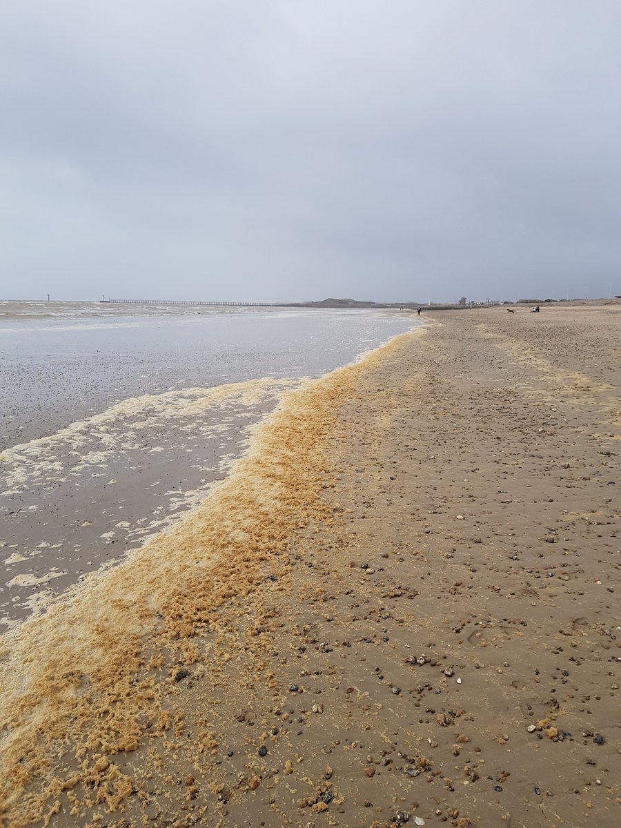 @Matthew82069336 Look at the state of littlehampon beach today.  #SewageParty #sewagescandal