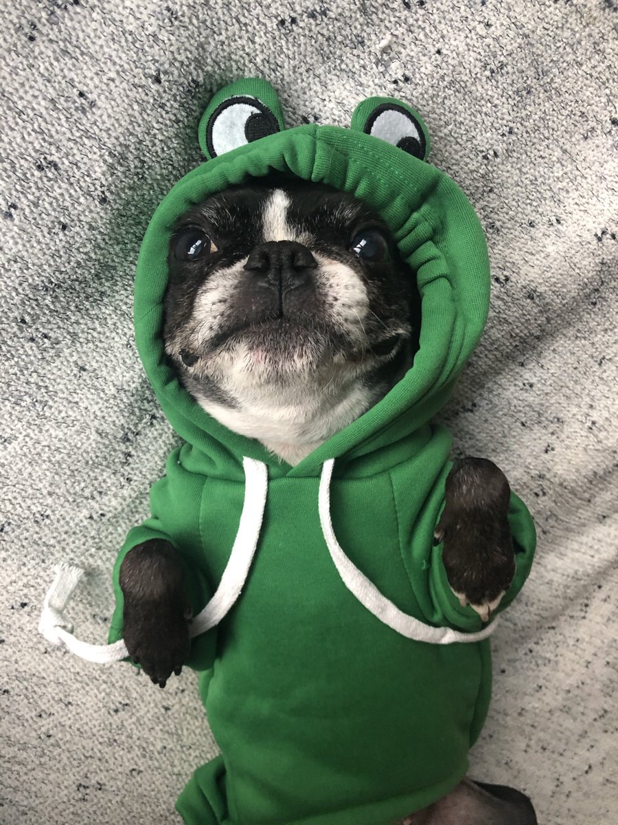 Laurel Brishel tweet media