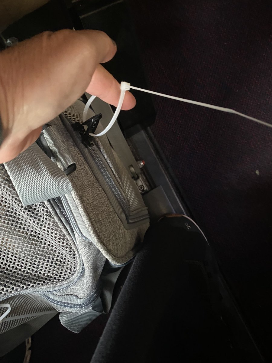 Hey <a href="/ASPCA/">ASPCA</a> <a href="/HumaneSociety/">Humane World for Animals</a> Did you know <a href="/Aeromexico/">Aeroméxico</a> zip ties pet in cabin carriers? How can this be safe?