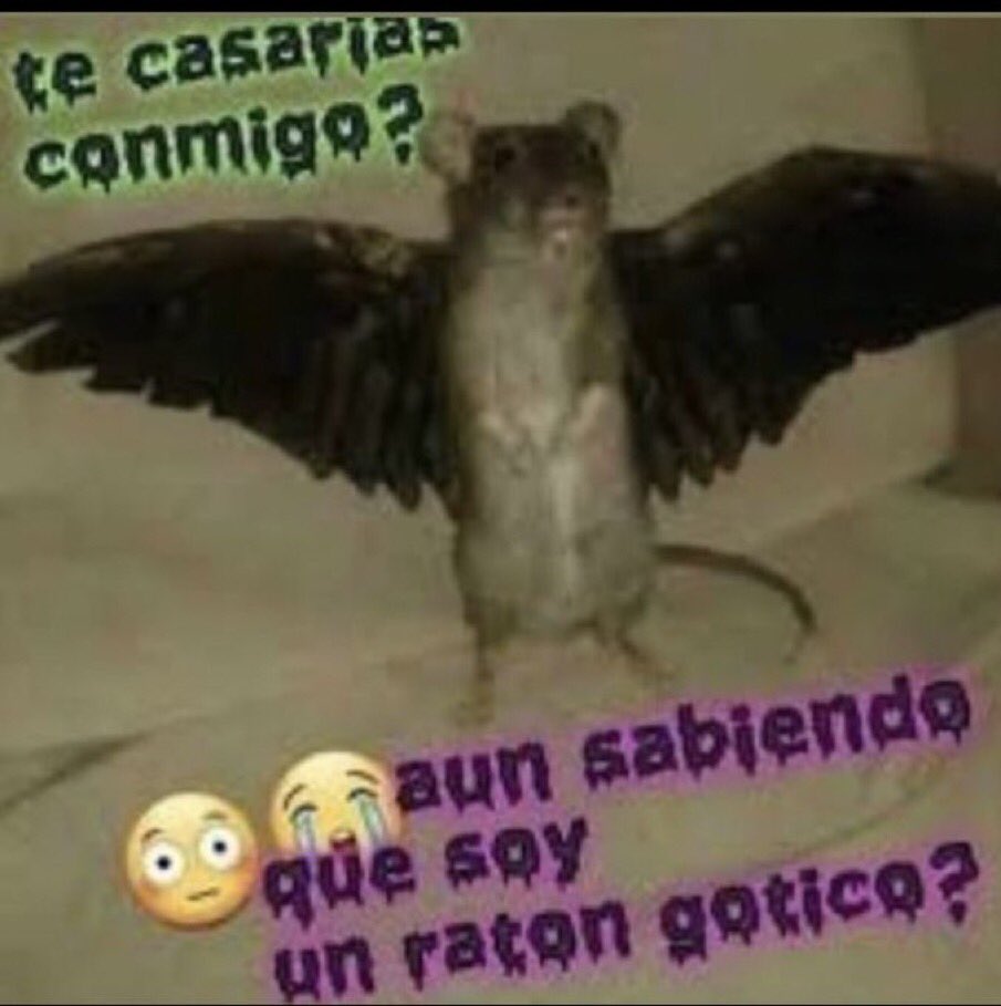 🜏 tweet media