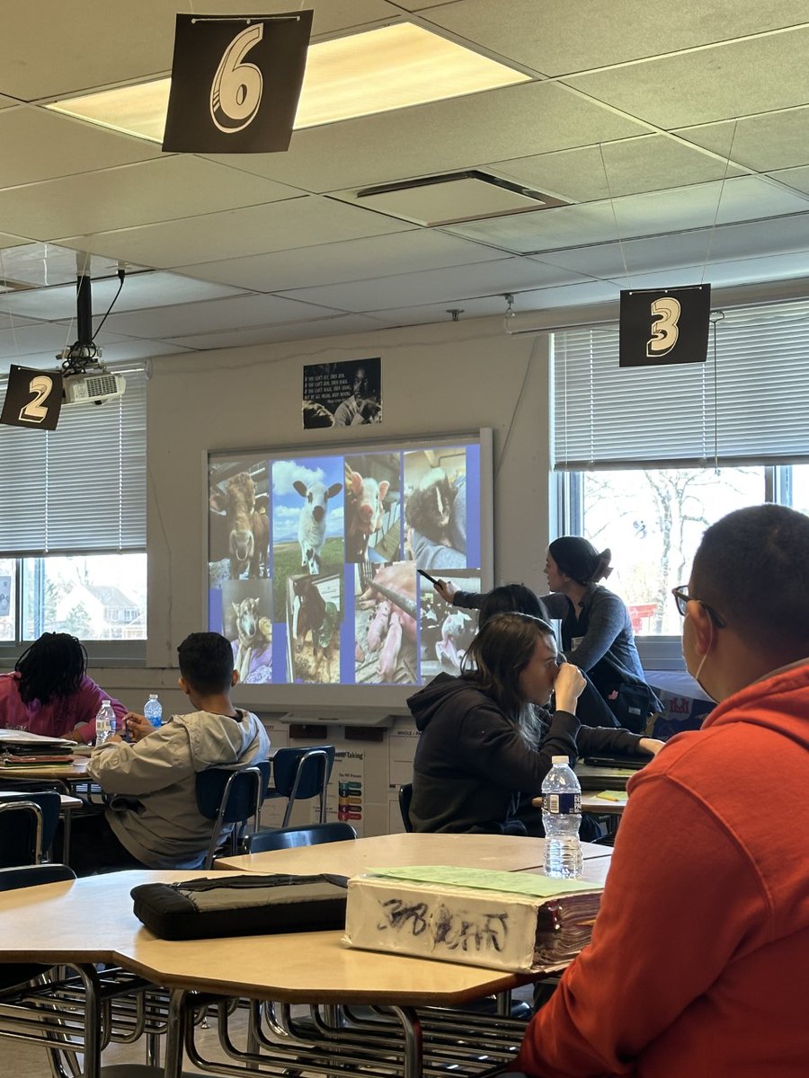 AVID had a fun guest speaker today!! We had a veterinarian and her sidekick Asiago come in to talk to the class about her career! #Careerreadiness #AVID