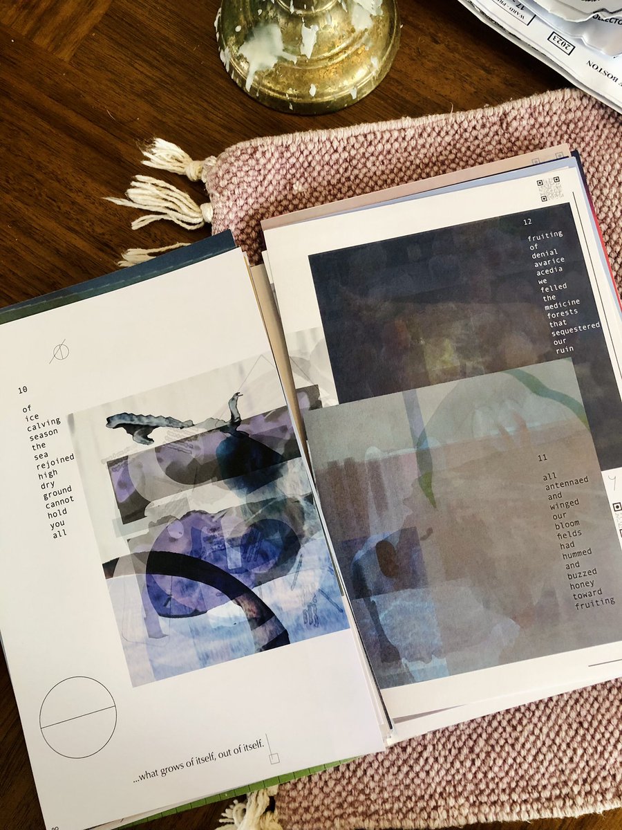 fieldguide3's tweet image. Page proofs!! #fieldguide #art #bostonart