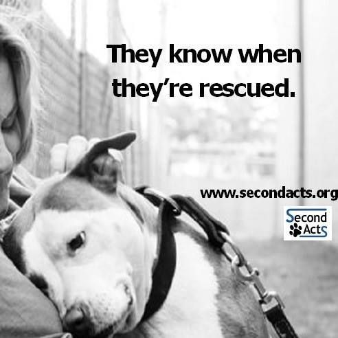 This is absolutely true. They do know & their appreciation & love for you will be never ending. You have not known true love unless you've experienced the love of a rescue. #AdoptDontShop #endBSL