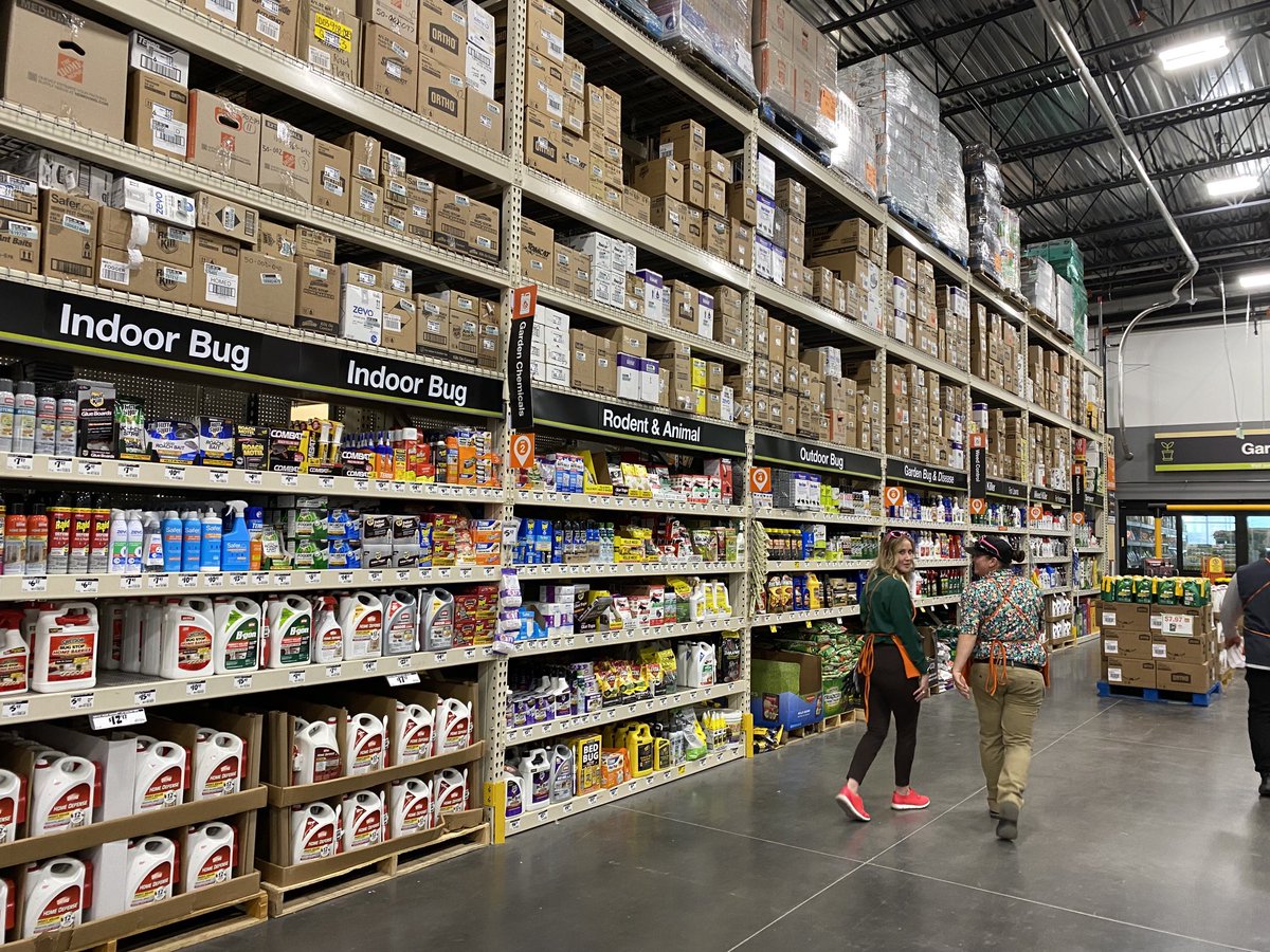 Sally Maurice tweet media