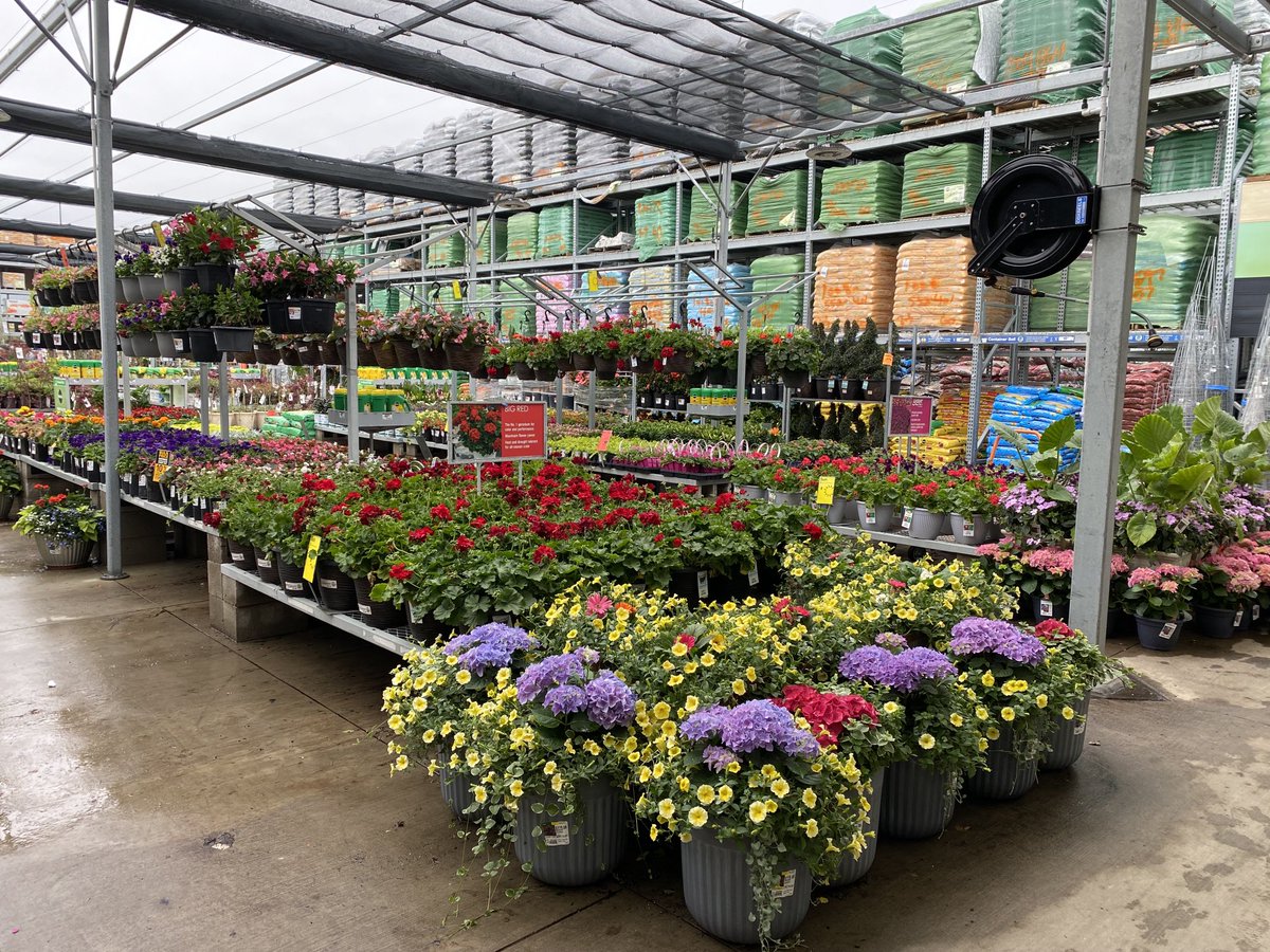 Sally Maurice tweet media