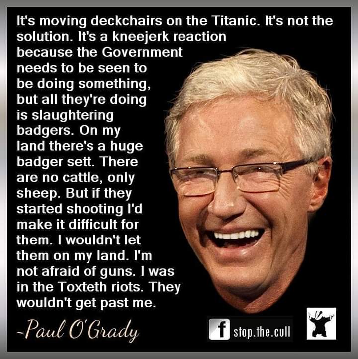 Euro_badger (@euro_badger) on Twitter photo 