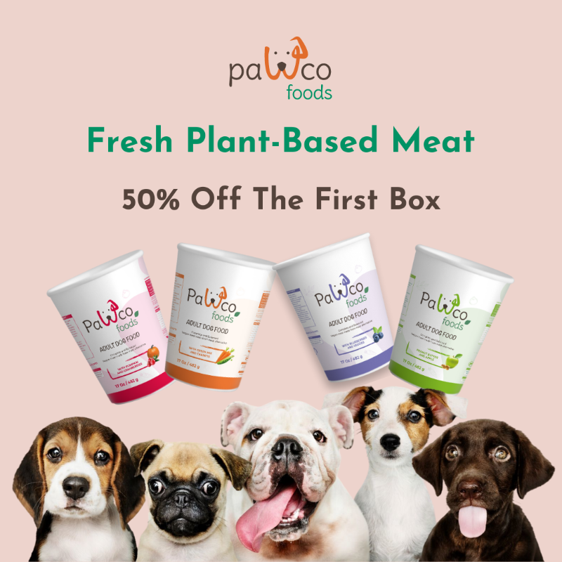 PawCoFoods's tweet photo. GreenMeat ™ - The first fresh plant-based meat that's optimized for dogs! 🐶🌱
Our complete &amp; balanced recipes are made by a team of board-certified animal nutritionists.
Don't miss out on this healthy and sustainable option for your pup. Order now! California free shipping