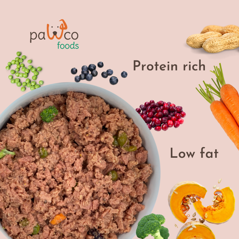 PawCoFoods's tweet photo. GreenMeat ™ - The first fresh plant-based meat that's optimized for dogs! 🐶🌱
Our complete &amp; balanced recipes are made by a team of board-certified animal nutritionists.
Don't miss out on this healthy and sustainable option for your pup. Order now! California free shipping