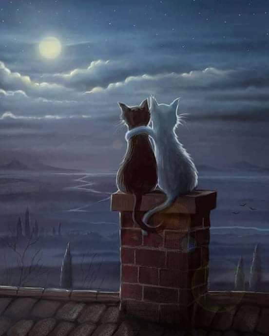 ultimo997's tweet image. "La fortuna di incontrarsi alle stesse profondità."

#fortuna #incontrare #stesse #profondità
