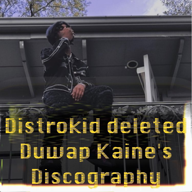 #DuwapKaine has had his discography taken down by #DistroKid 
+
did you pirate it in time?