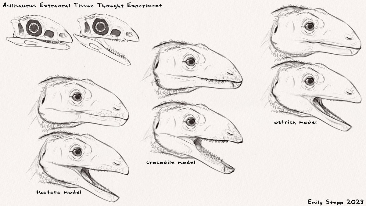 Emily Stepp on Twitter: