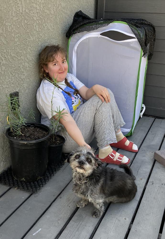 Comfort Creatures tweet media