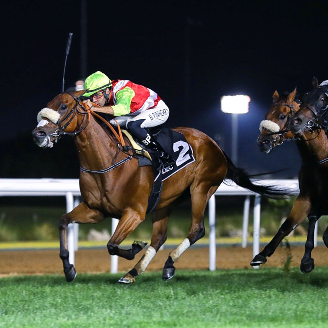 kelliottau's tweet photo. Congratulations to all the connections of the winning horse in Race 6 of the 15th Race Meeting at Abu Dhabi Equestrian Club. @kimelliott.au https://t.co/ITD2BwRIRO
