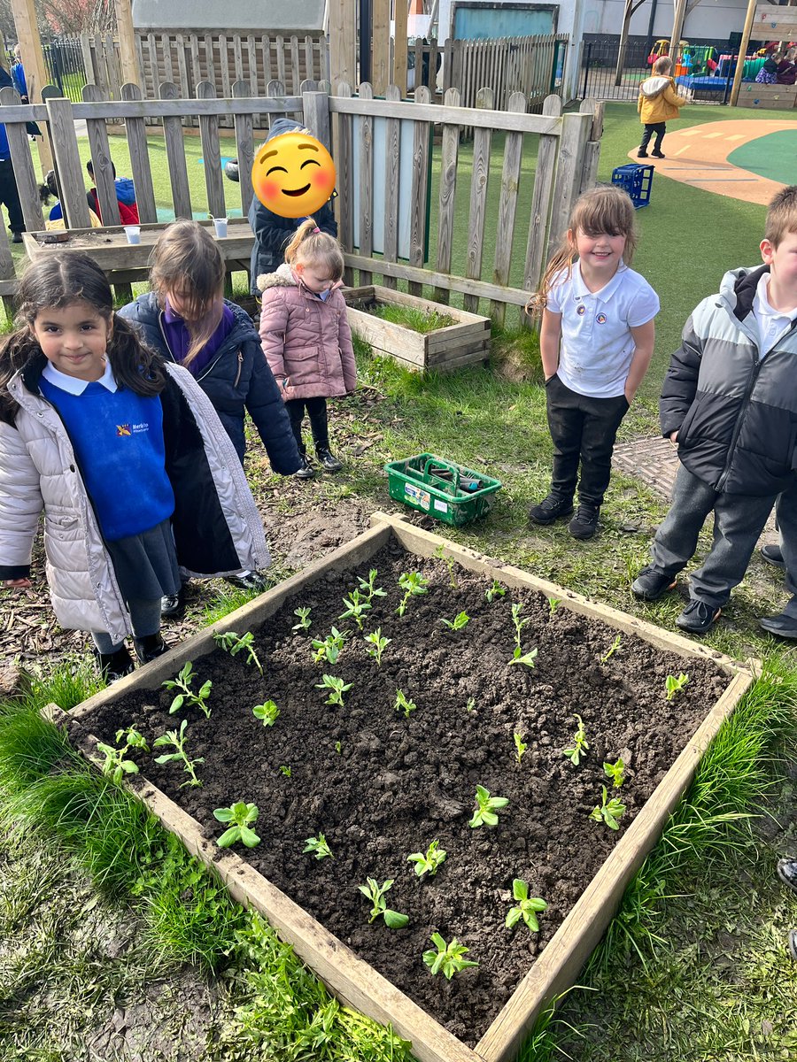 Reception have been busy planting their bean plants in the garden today 🌱#EYFS #gardening #growyourown #RHSBigSeedSow