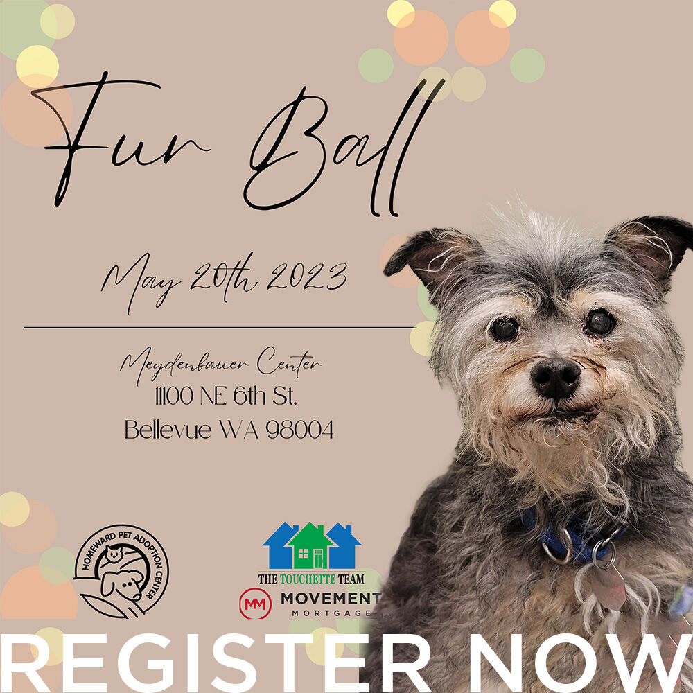 HEY PROCRASTINATORS!
Dandelion is here to remind you that Fur Ball ticket prices go up on Saturday!  

If you've been thinking about going, get your tickets now!  Don't lose your chance to attend our best Fur Ball yet.

Register now >>> bit.ly/hpac-furball-r…