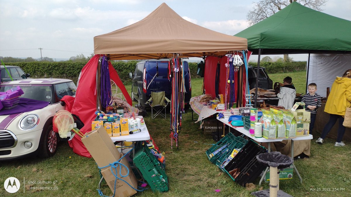 GILLINGHAM SHAFTESBUSY  SPRING SHOW  2022