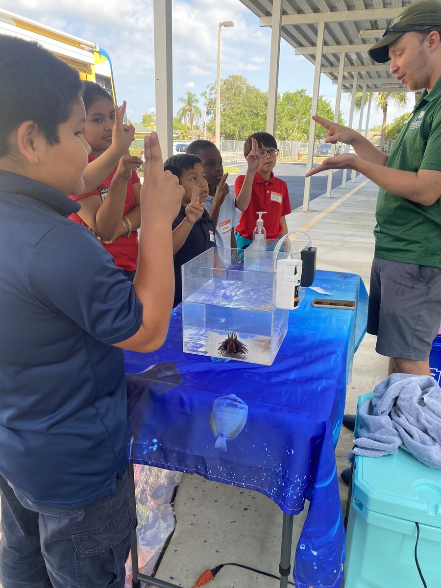 MrsCrumbly's tweet photo. Thank you to @ConservancySWFL 🤩 These mini scientists had the best time today learning about red tide, algae, and being able to touch some ocean life critters. These interactive lessons kept the students 100% engaged and left them with some amazing experiences!! @hceotters https://t.co/mtgu8OayAe