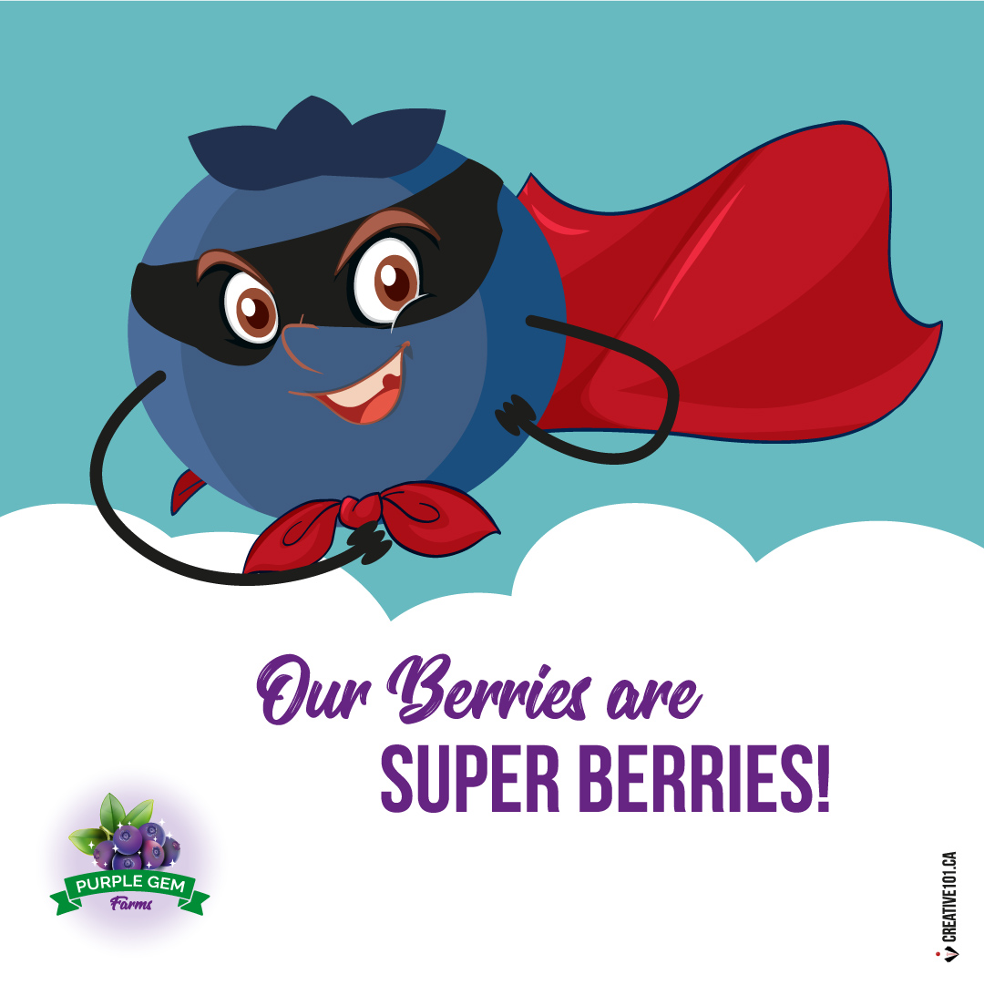 Saskatoon berries are SUPER BERRIES! Full of antioxidants, vitamin C, calcium, manganese and rich in fiber, potassium, magnesium and iron.

Order some today! 💜👍purplegem.ca/order

#Springtime #SaskatoonBerries #LeducBusiness #BerriesRetail #NaturesLittleGem