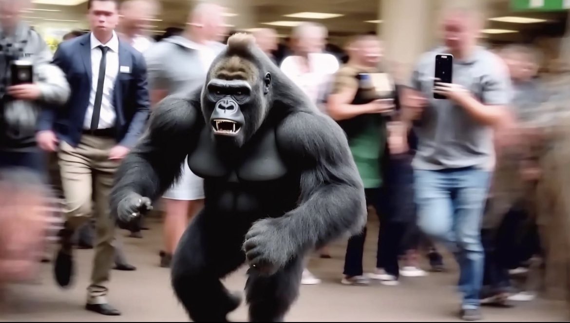 nocontextmemes's tweet image. Gorilla let loose on a High School Graduation.