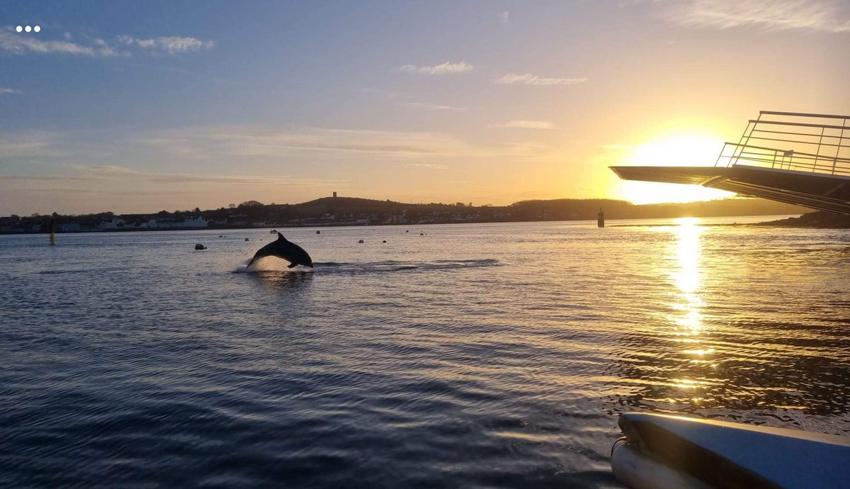 Meanwhile in Strangford❤️🕶