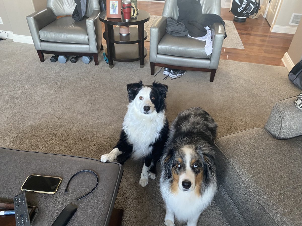 Myles Brainard tweet media