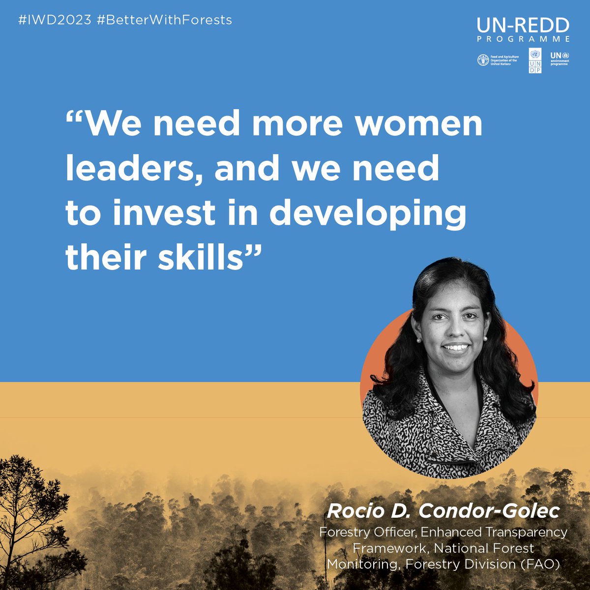 “The best way to innovate is to collaborate”

Wise words spoken by <a href="/FAOForestry/">FAO Forestry</a>'s <a href="/rocio_condor/">Rocío Cóndor</a> for #IWD2023.

Read more on how #women are supporting forest #conservation across the globe in this <a href="/unredd/">UN-REDD Programme</a> story: bit.ly/3Jm3euN