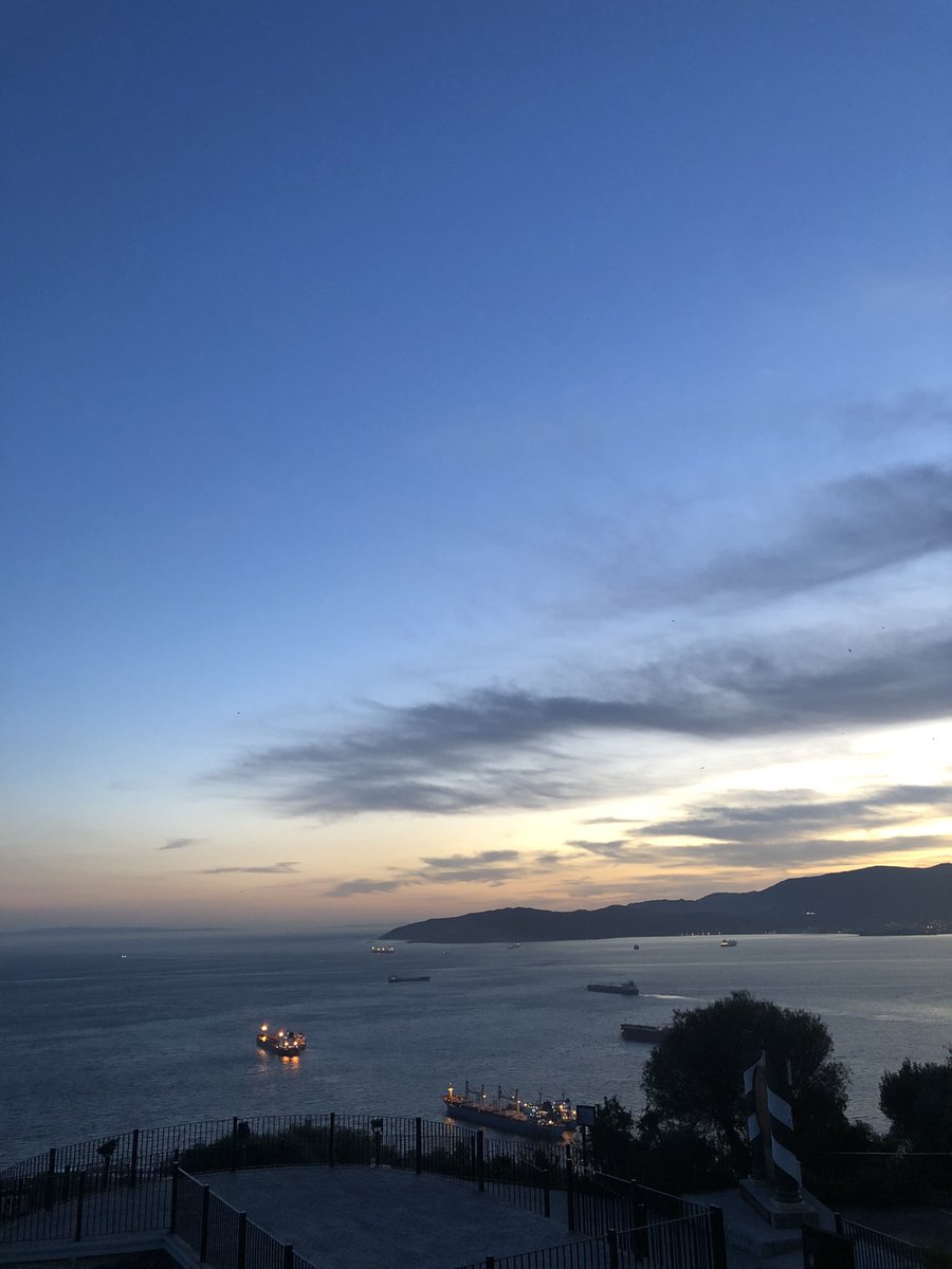 Sam Lloyd (@samlloyd389_sam) on Twitter photo Pretty end to a great first day <a href="/gonhsgib/">GONHS Gibraltar</a> Steady morning of ringing followed by an afternoon watching the spectacular sight of migration:
360 Black Kite, 39 Booted Eagle, 4 Short Toed Eagle , 2 Osprey, 3 Montagu’s Harrier the highlights #Gibraltar #birdmigration #migratorybirds Pretty end to a great first day <a href="/gonhsgib/">GONHS Gibraltar</a> Steady morning of ringing followed by an afternoon watching the spectacular sight of migration:
360 Black Kite, 39 Booted Eagle, 4 Short Toed Eagle , 2 Osprey, 3 Montagu’s Harrier the highlights #Gibraltar #birdmigration #migratorybirds