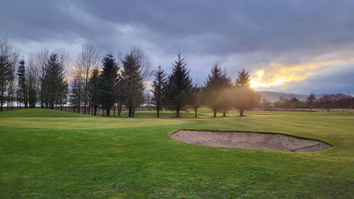 Ｋａｔｉｅ Ｗｉｌｓｏｎ tweet media