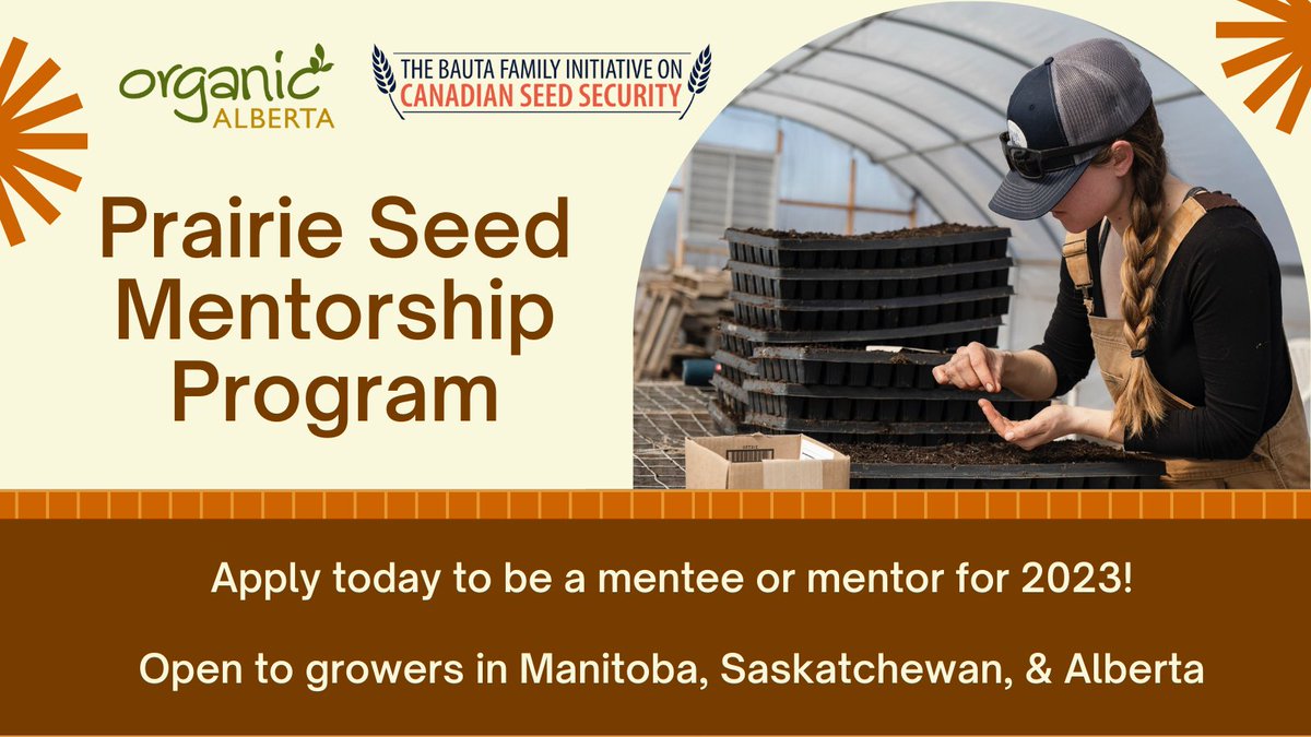 SaskOrganics's tweet image. Interested in developing your seed skills or supporting future seed growers? 

Sign up to be a Prairie Seed Mentee or Mentor! 

This program will provide real-time, flexible learning support from one farmer to another, all season. Apply by Mar 31, 2023.  organicalberta.org