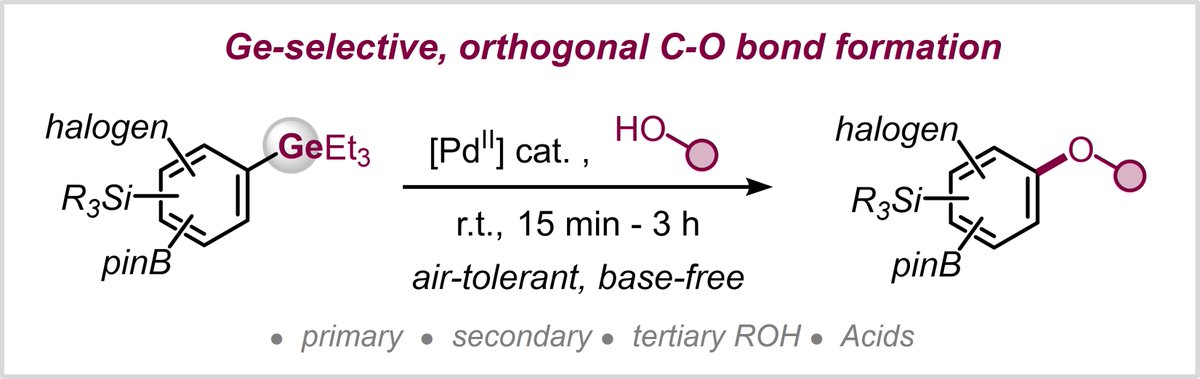 Happy to share an orthogonal C-O coupling of aryl germanes, which tolerates halides, silanes and boronic acid derivatives and proceeds at r.t. under air-tolerant and base-free conditions. Congratulations Amit and Avet.
 
pubs.acs.org/doi/pdf/10.102…